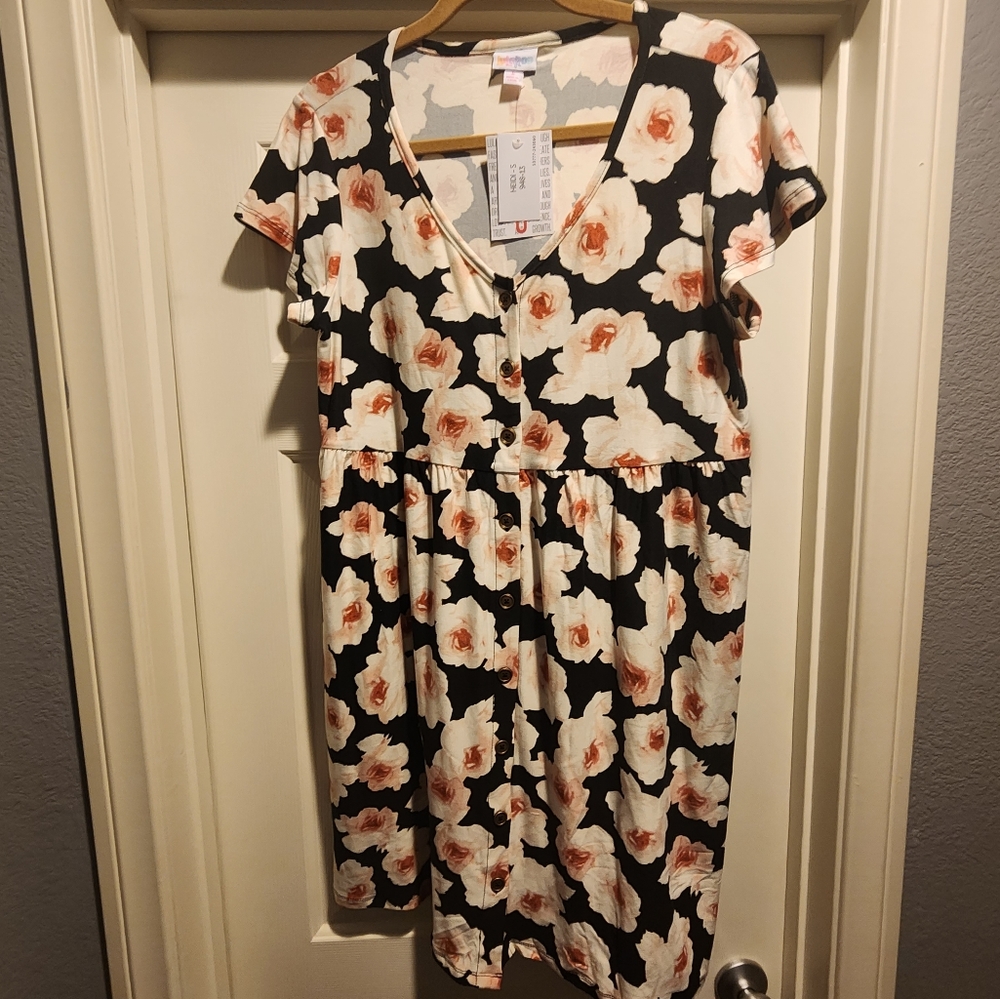 NWT LuLaRoe Heidi Dress - Floral